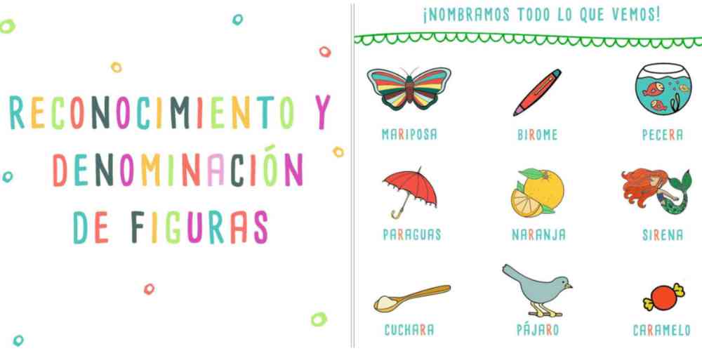 Muestra 6
